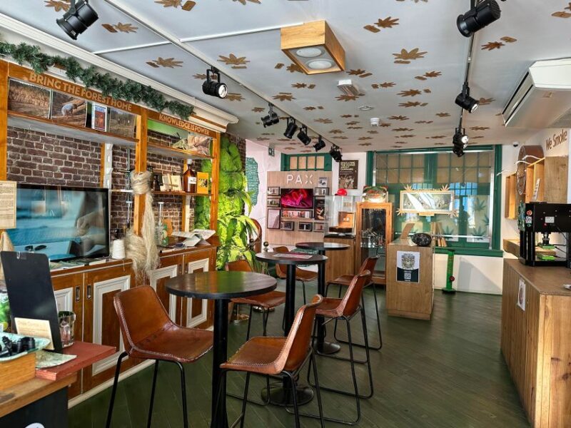 Amsterdam: Cannabis Museum Entry Ticket - Who Will Enjoy This Experience?