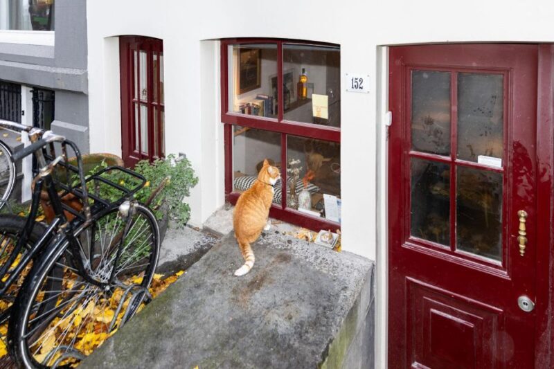 Amsterdam Central Walking Tour - Key Points