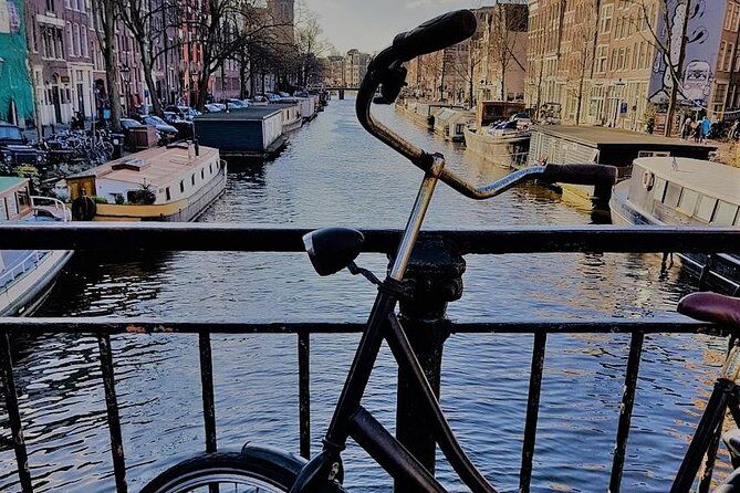 Amsterdam City & Countryside Tour: The Best of both Worlds - An In-Depth Look at the Tour Experience