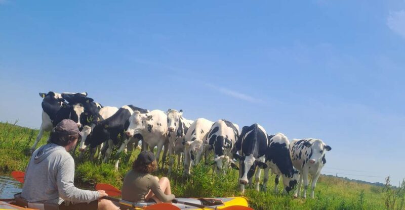 Amsterdam: Countryside Bike and Kayak Guided Tour - A Closer Look at the Experience