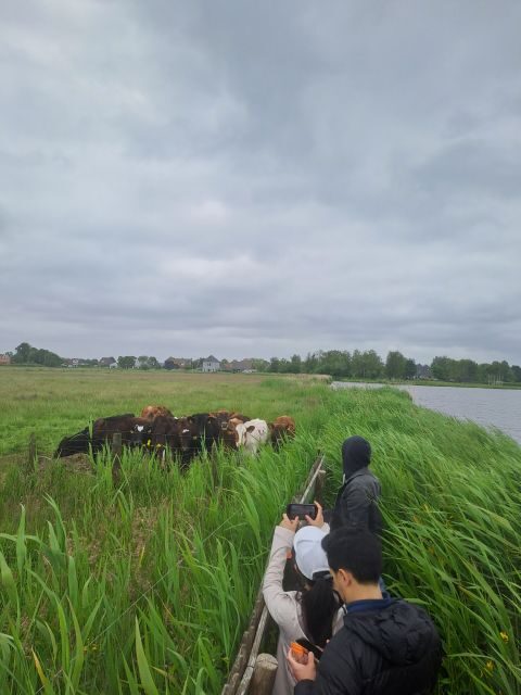 Amsterdam: Countryside Bike and Kayak Guided Tour - A Detailed Breakdown of the Itinerary
