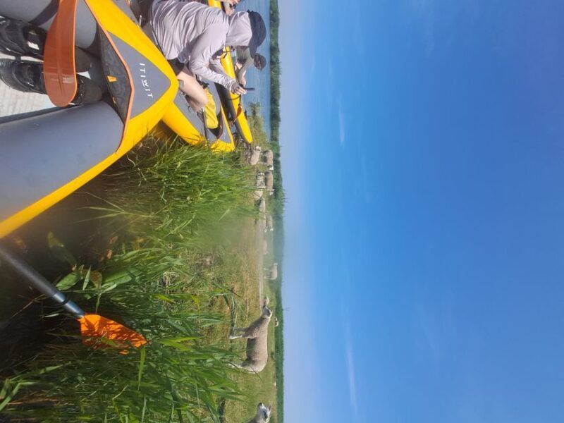Amsterdam: Countryside Bike and Kayak Guided Tour - Authenticity and Guide Expertise