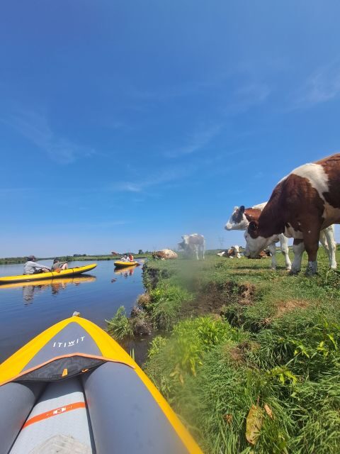 Amsterdam: Countryside Bike and Kayak Guided Tour - FAQs