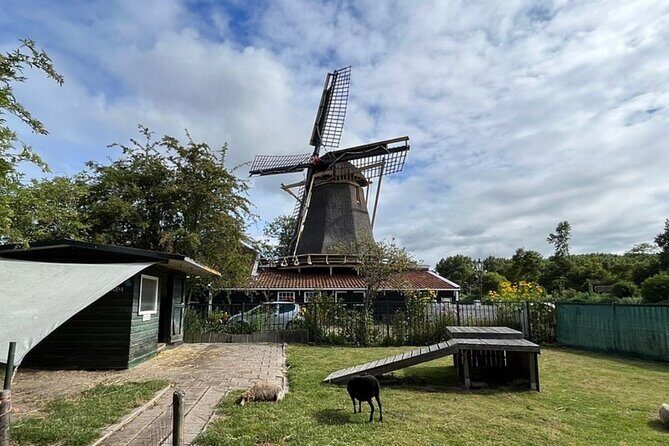 Amsterdam Countryside Bike and Kayak Tour - Key Points