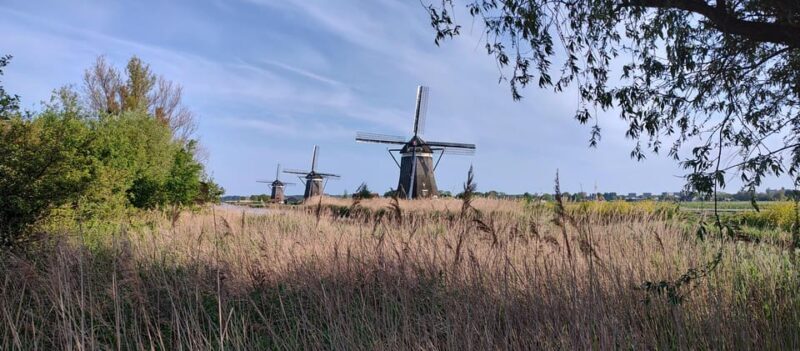 Amsterdam & Countryside Private Tour by premium car - Key Points