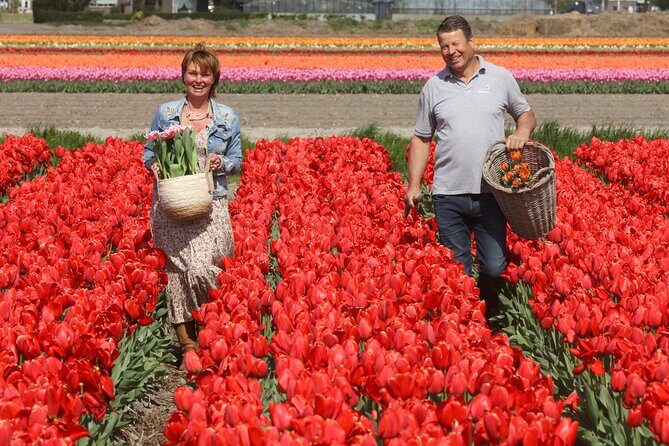 Amsterdam: Day trip to Tulip Farm, Keukenhof + Windmill Cruise - Analyzing the Value