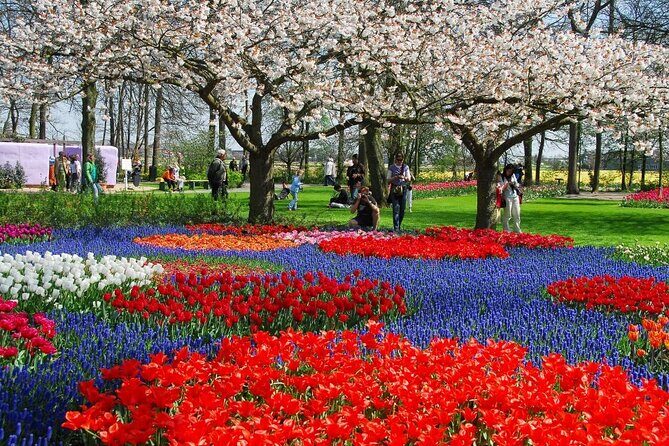 Amsterdam: Day trip to Tulip Farm, Keukenhof + Windmill Cruise - FAQs