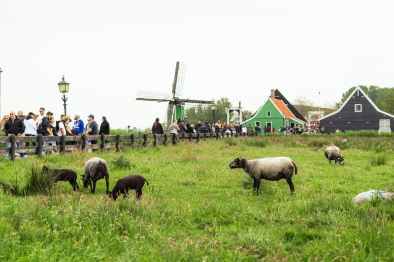 Amsterdam: Explore Zaanse Schans: Half-Day Luxury Coach Trip - Getting to Know Zaanse Schans: What’s in Store
