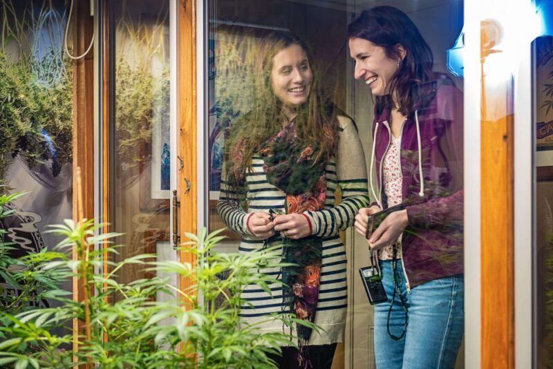 Amsterdam: Hash, Marihuana, and Hemp Museum Entry Ticket - A Detailed Look at the Experience