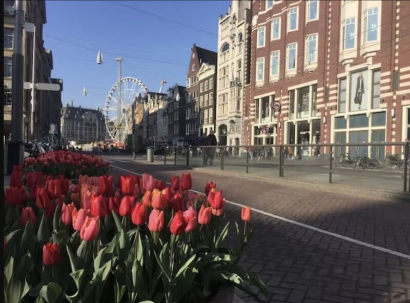 Amsterdam: History, Culture & Hidden Gems Walking Tour - Authenticity and Balance