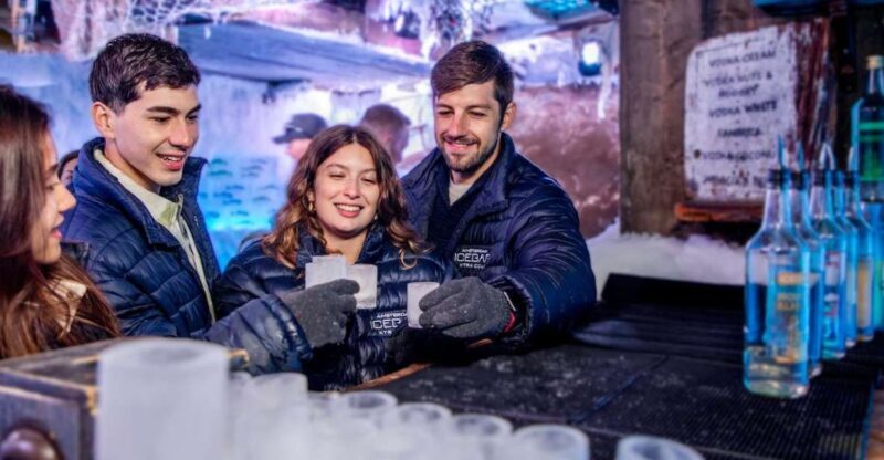 Amsterdam: Icebar Entry Ticket with 3 Drinks - A Deep Dive into the Icebar Experience