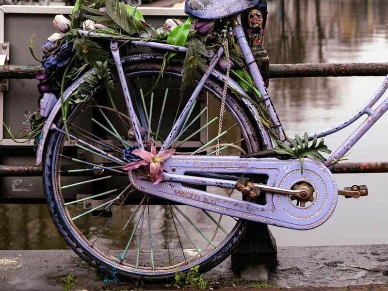 Amsterdam: Iconic Canals & Historic Sights Walking Tour - Frequently Asked Questions