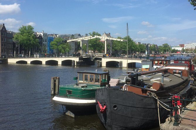 Amsterdam in a Nutshell 4 Hour Private Car Tour and Amsterdam Born Private Guide - The Sum Up