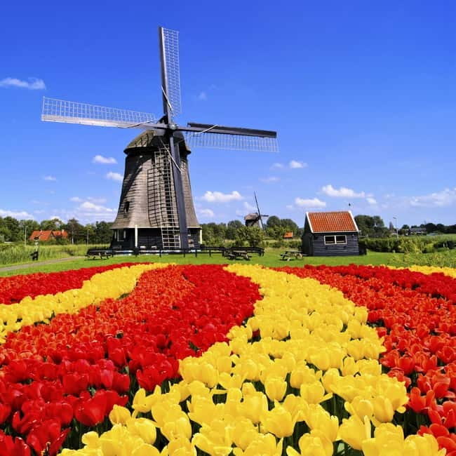 Amsterdam: Keukenhof and Tulip Fields Private Day Trip - FAQ