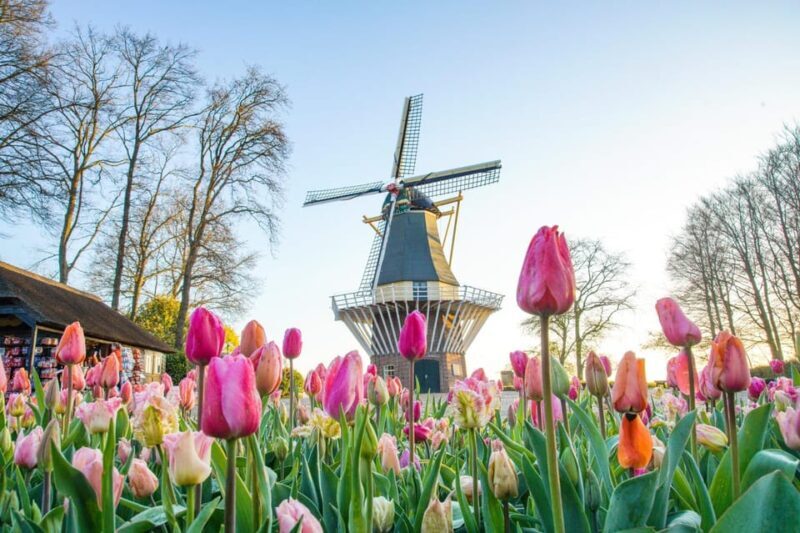 Amsterdam: Keukenhof and Zaanse Schans Live Guided Day Tour - Frequently Asked Questions