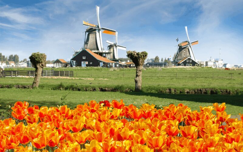 Amsterdam: Keukenhof and Zaanse Schans Windmills Day Trip - Final Thoughts