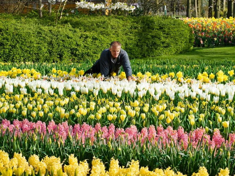 Amsterdam: Keukenhof Entry & Shuttlebus with Flexible Return - A Detailed Look at the Keukenhof Shuttle Tour