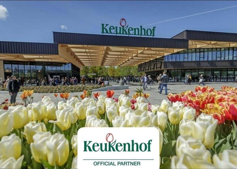 Amsterdam: Keukenhof Gardens & Tulip Fields Private Tour - Key Points