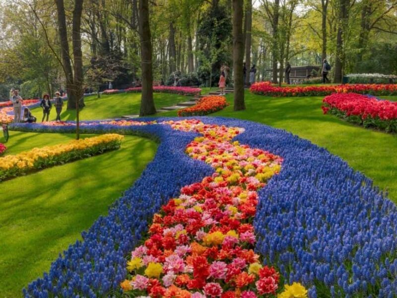 Amsterdam: Keukenhof Gardens & Tulip Fields Private Tour - An In-Depth Look at the Tour Experience
