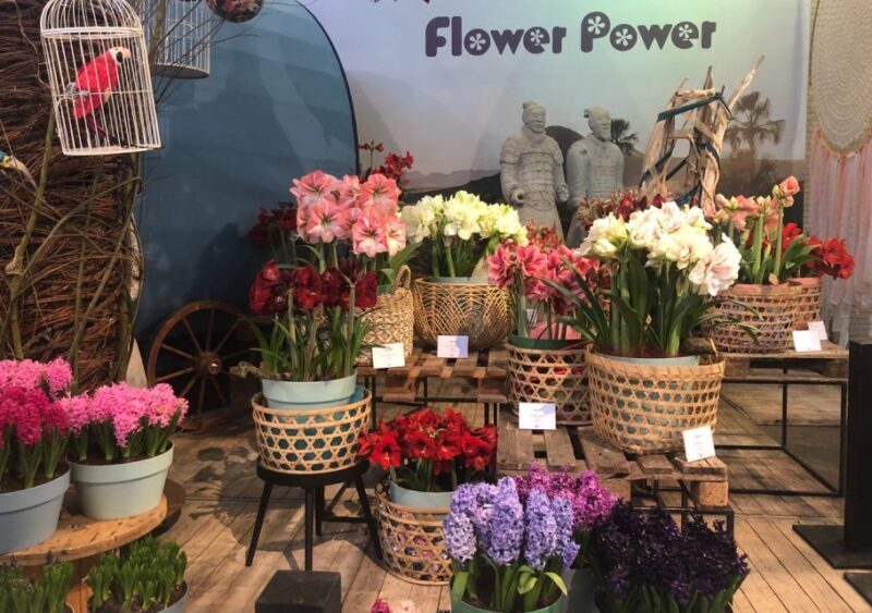 Amsterdam: Keukenhof Tulip Garden and Giethoorn Experience - FAQ