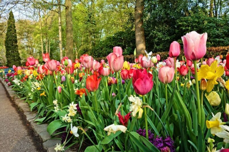 Amsterdam: Keukenhof & Zaanse Schans Windmills Private Tour - FAQ