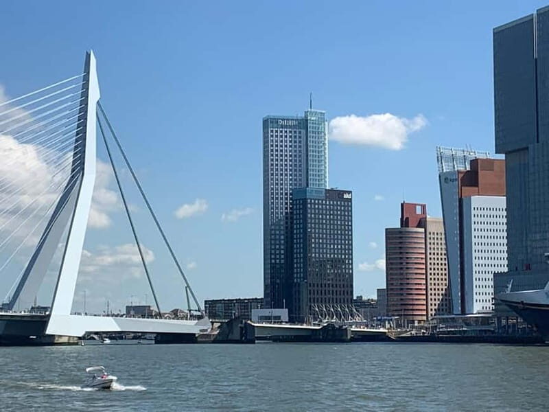 Amsterdam: Kinderdijk, Euromast, Delft and Den Haag Day Tour - FAQ