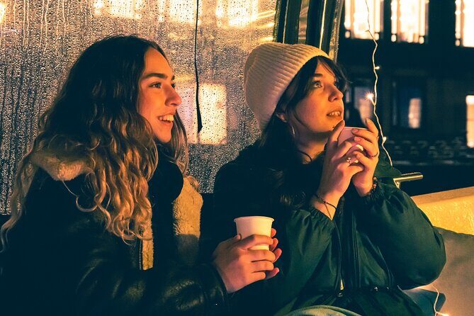 Amsterdam: Light Festival Cruise with Unlimited Drinks Option - A Detailed Look at the Experience