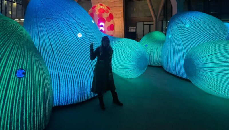 Amsterdam Light Festival Guided Bike Tour - Amsterdam Light Festival Guided Bike Tour: A Clear-Eyed Look