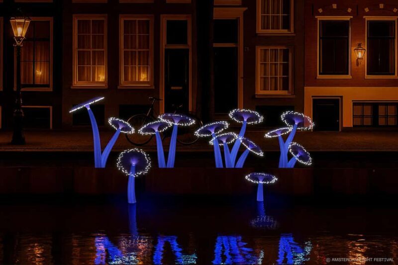 Amsterdam: Light Festival Open Boat Cruise - Key Points