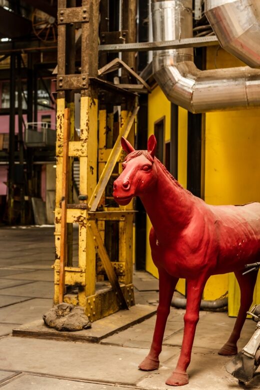 Amsterdam-Noord: 3-Hour Private Walking Tour - FAQs