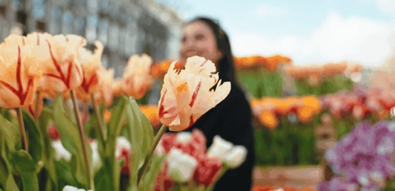 Amsterdam: Premium Tulip Boat Canal Tour - Frequently Asked Questions