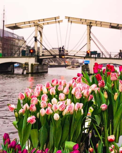 Amsterdam: Premium Tulip Boat Canal Tour - Final Thoughts