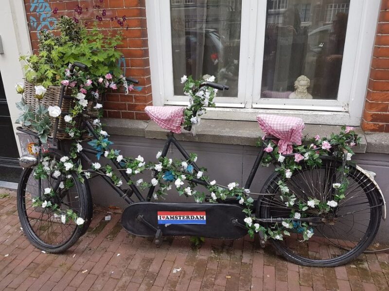 Amsterdam: Private Half-Day Countryside Bike Tour - Experience the Charm of the Dutch Countryside on a Private Bike Tour