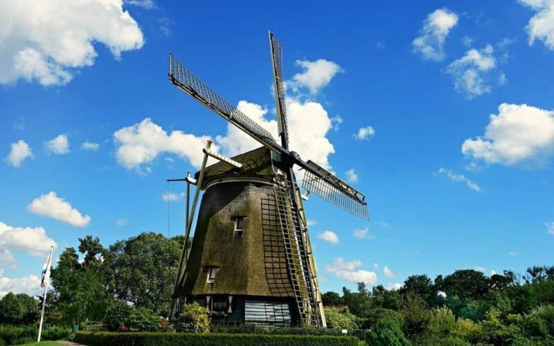 Amsterdam: Private Half-Day Guided Tour - Key Points