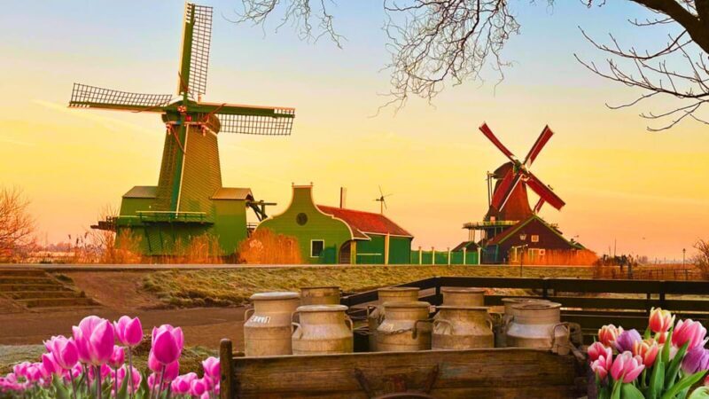 Amsterdam: Private Tour Giethoorn, Zaanse Schans Local Guide - Key Points