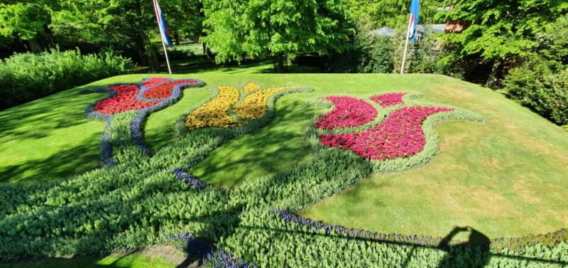 Amsterdam: Private Tour to Keukenhof & Free Tulip Experience - Key Points