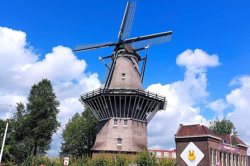 Amsterdam: Private Tour with Local Guide (French or English) - The Sum Up