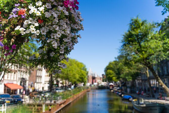 Amsterdam Private Walking Tour - An In-Depth Look at What to Expect