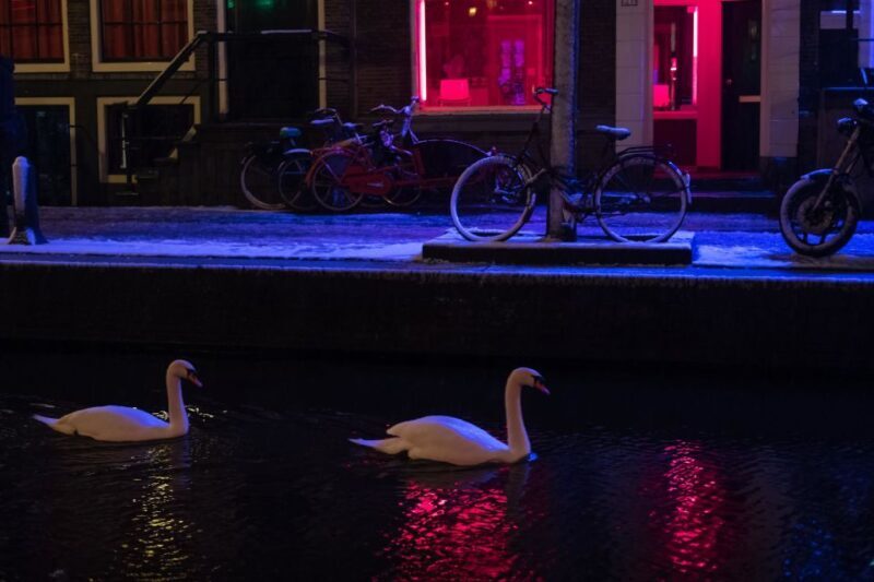Amsterdam: Red Light District and Coffeeshop Culture Tour - Exploring the Itinerary: What You’ll Experience