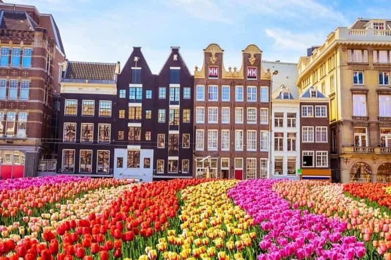 Amsterdam: Red Light District Walking Tour - Final thoughts