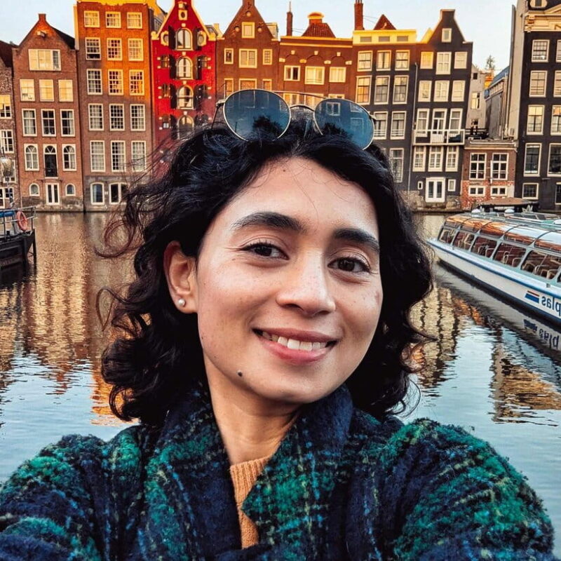 Amsterdam: Rijksmuseum Guided Tour incl Entrance Ticket - Who Should Consider This Tour?