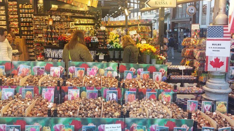 Amsterdam Shore Excursion: Highlights Walk & Canal Cruise - A Deep Dive into the Experience