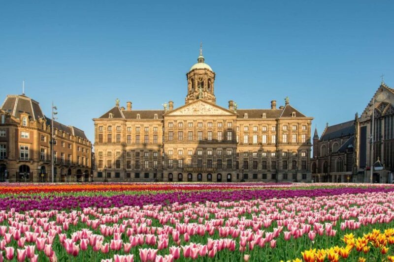 Amsterdam: Skip-the-line Royal Palace Private Guided Tour - Who Should Book This Tour?
