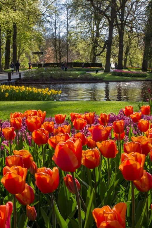 Amsterdam: Tour to Keukenhof Gardens with Windmill Cruise - Exploring Holland’s Spring Charm: A Day Trip to Keukenhof and Windmills