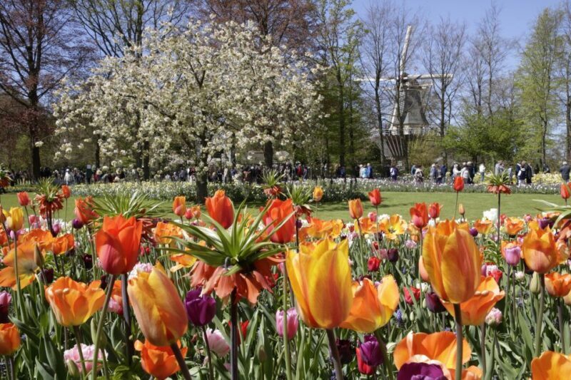 Amsterdam: Tour to Keukenhof Gardens with Windmill Cruise - The Sum Up: Who Should Book?