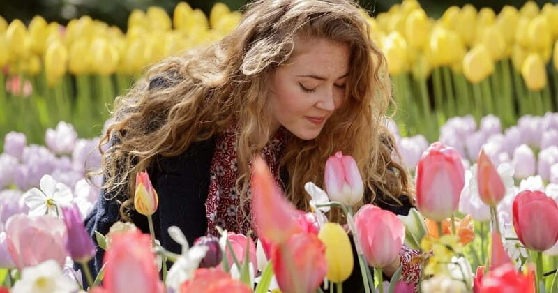 Amsterdam: Tulip Farm Visit, Keukenhof, and Windmill Cruise - Start with the essentials