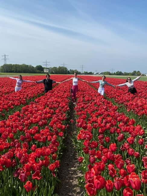 Amsterdam: Tulip Farm Visit, Keukenhof, and Windmill Cruise - Who would love this tour?