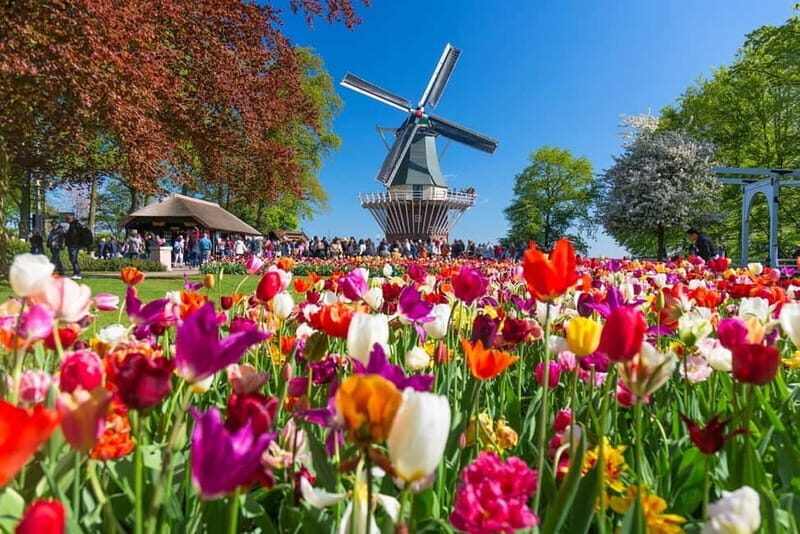 Amsterdam: Tulip Farm Visit, Keukenhof, and Windmill Cruise - Final thoughts on value and experience