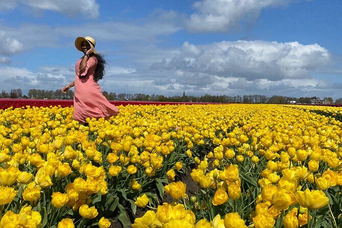 Amsterdam: Tulip Fields Day Tour with Lunch and a Windmill Visit - A Closer Look at the Tulip Fields Day Tour: What to Expect