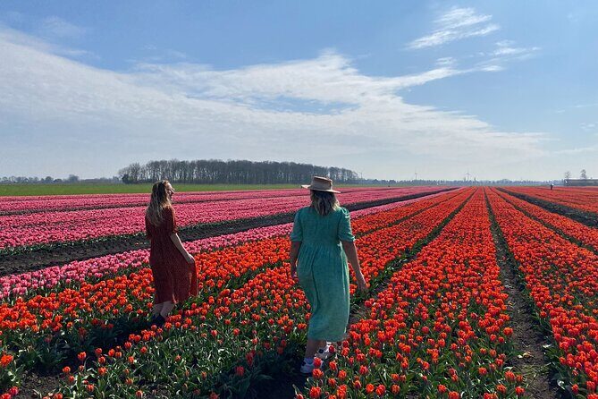 Amsterdam: Tulip Fields Day Tour with Lunch and a Windmill Visit - Who Should Consider This Tour?